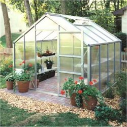 Juliana Premium Series Greenhouse